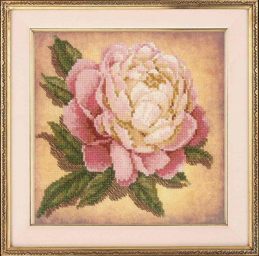 Peony - embroidery kit with printed background /RIOLIS/ 20 x 20 cm