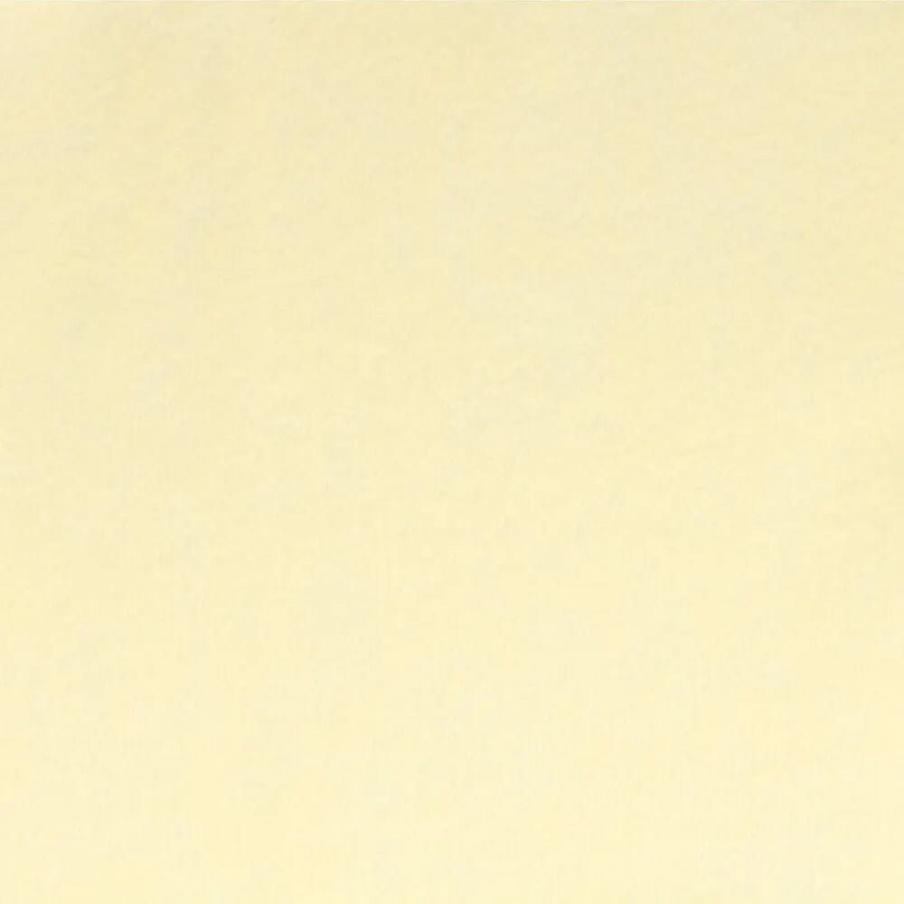 Felt sheet 2mm 20x30cm Queens Quality #041