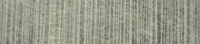 SilkyCat /Schoppel/ 25g #6744 "Linde"