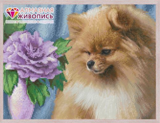 "Spitz" diamond embroidery kit - 40 x 30cm