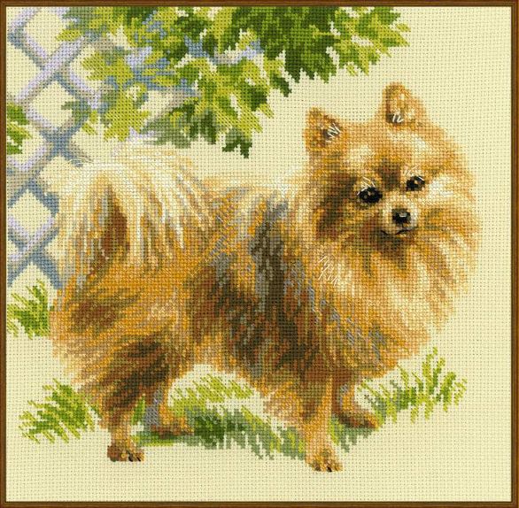 Miniature Spitz - embroidery kit /RIOLIS/ 25 x 25 cm