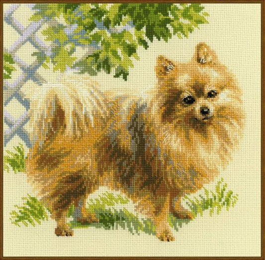 Miniature Spitz - embroidery kit /RIOLIS/ 25 x 25 cm