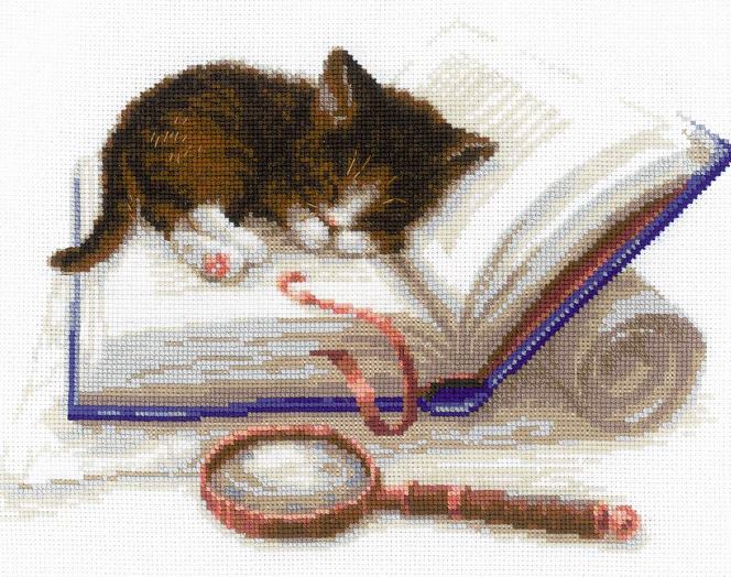 Kitten on a book - embroidery kit /RIOLIS/ 30 x 24 cm
