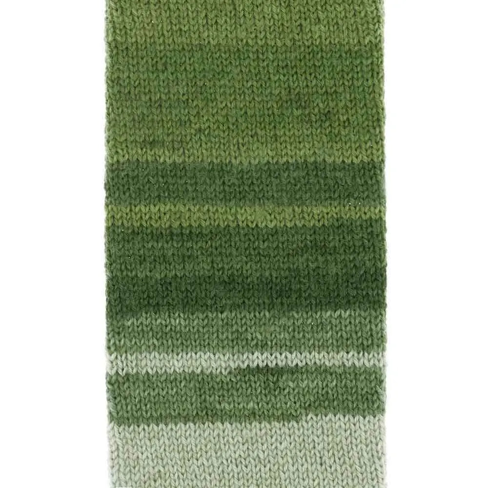 Arcadia /Scheepjes/ 4-diegu zeķu dzija 100g #905 "Lietusmežs"