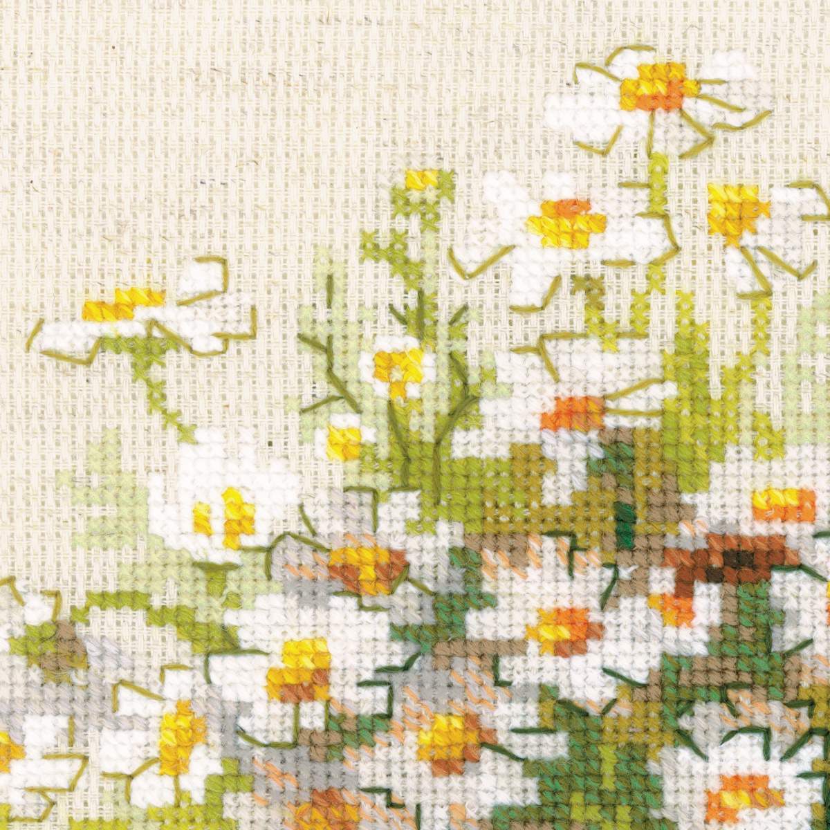 Chamomiles - embroidery kit /RIOLIS/ 25 x 25 cm