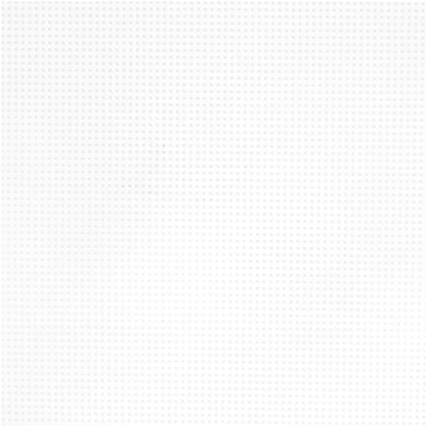 Plastikāta kanva - Taisnstūra A4 21x29,7cm / Rico Design /