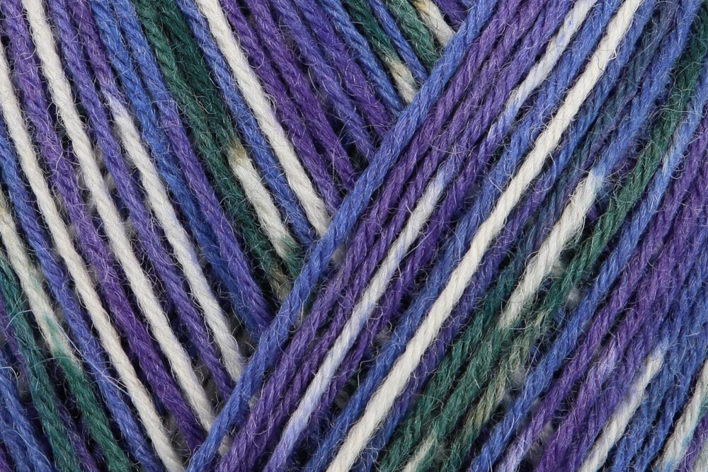 Regia 4-diegu Design Line by Arne & Carlos 100g #03892 "Oksfjord krāsas"