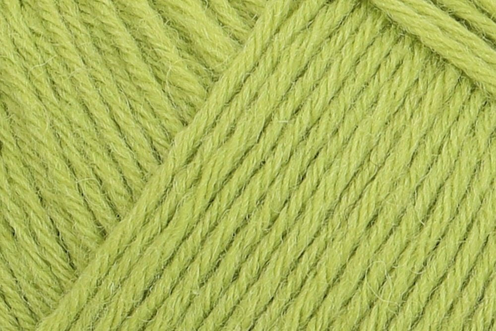 Regia Uni 6-diegu 50g #01056 "Laims"