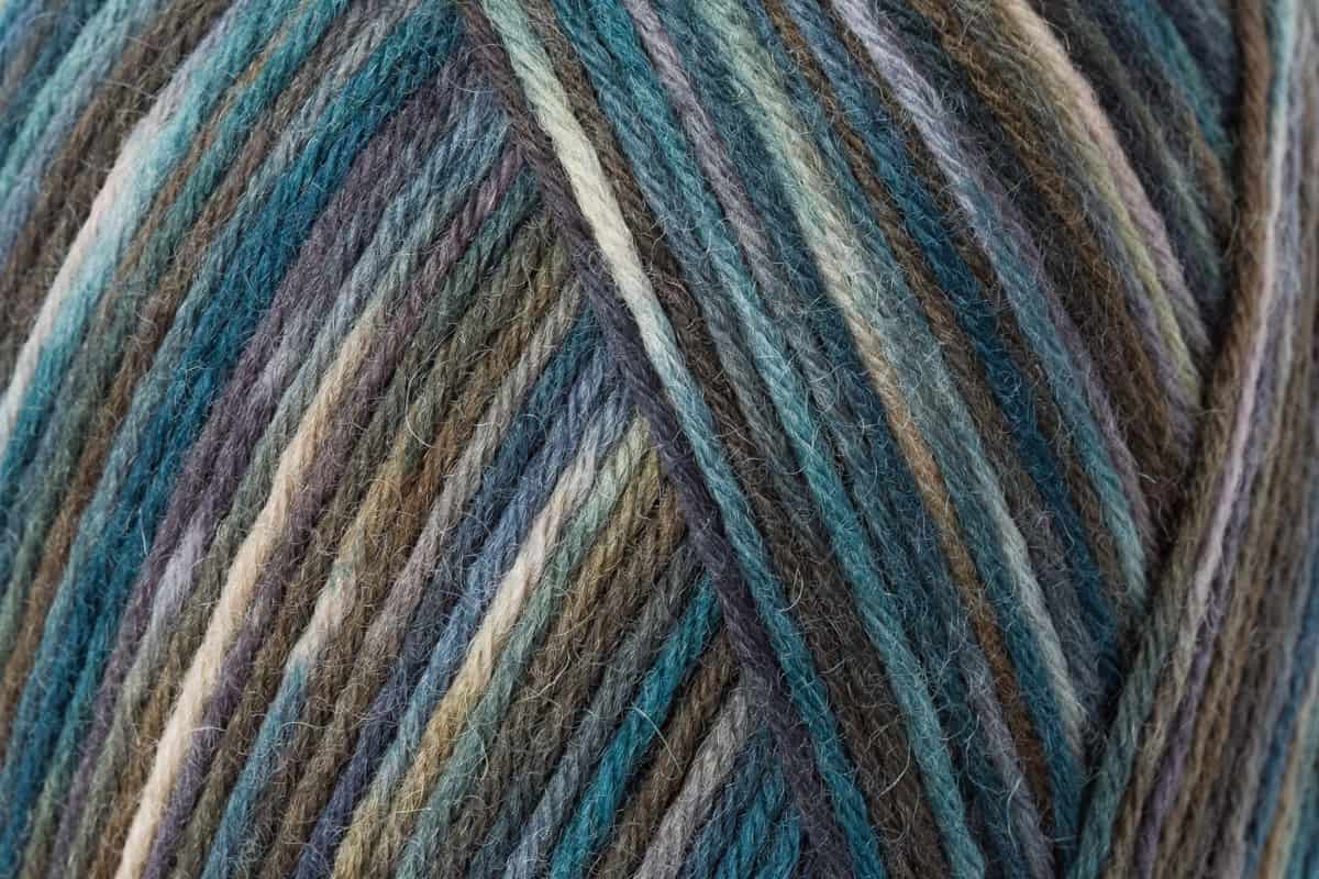 Regia Color 6-diegu 150g #06981 "Skulptūra"