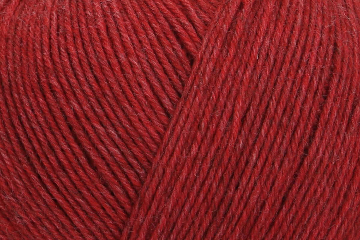 Regia Premium 4-diegu Merino Yak 100g #07507 "Merserizēta avene"