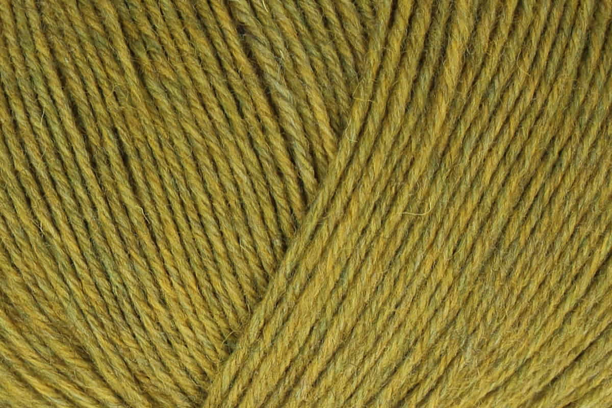 Regia Premium 4-diegu Merino Yak 100g #07516 "Zāles zaļš"