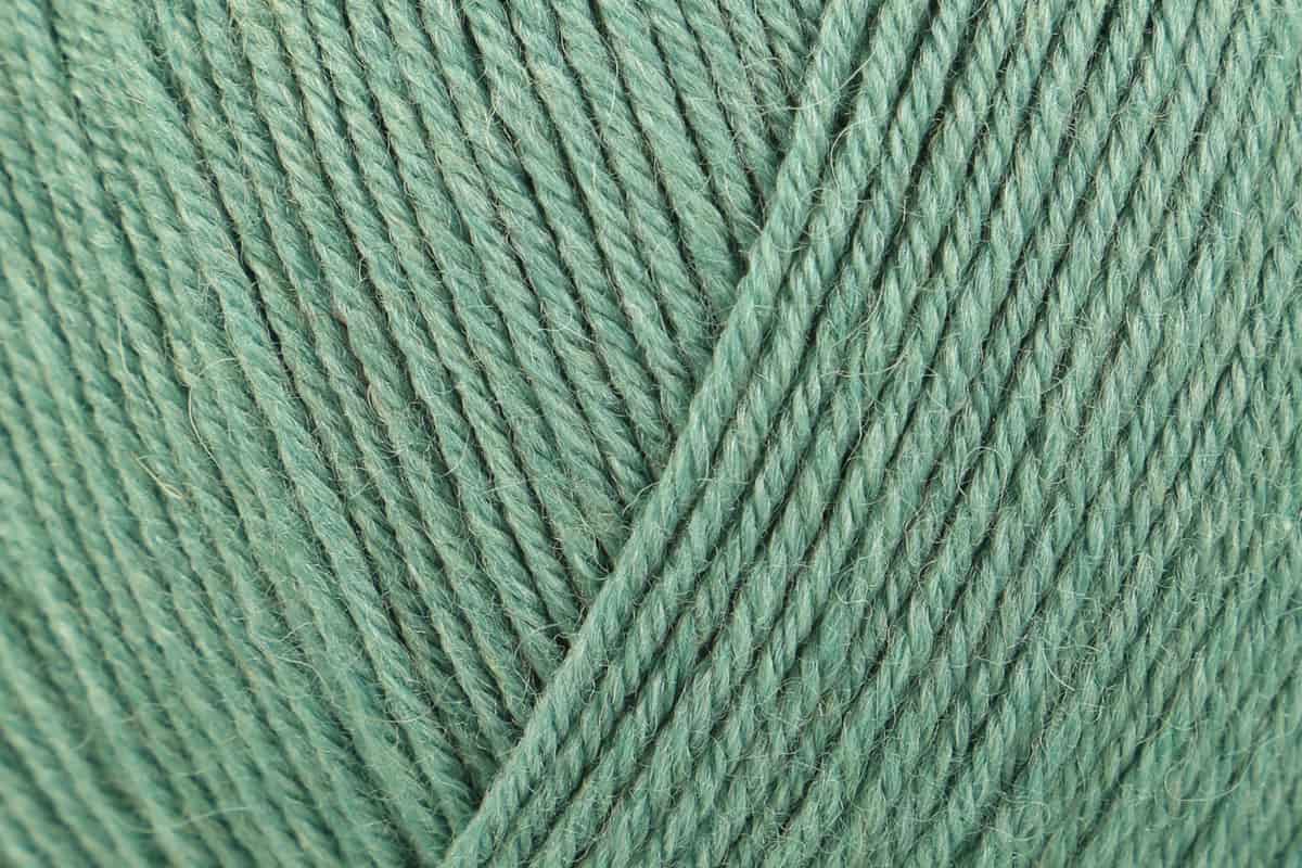 Regia Premium 4-diegu Silk 100g #00018 "Salvija"