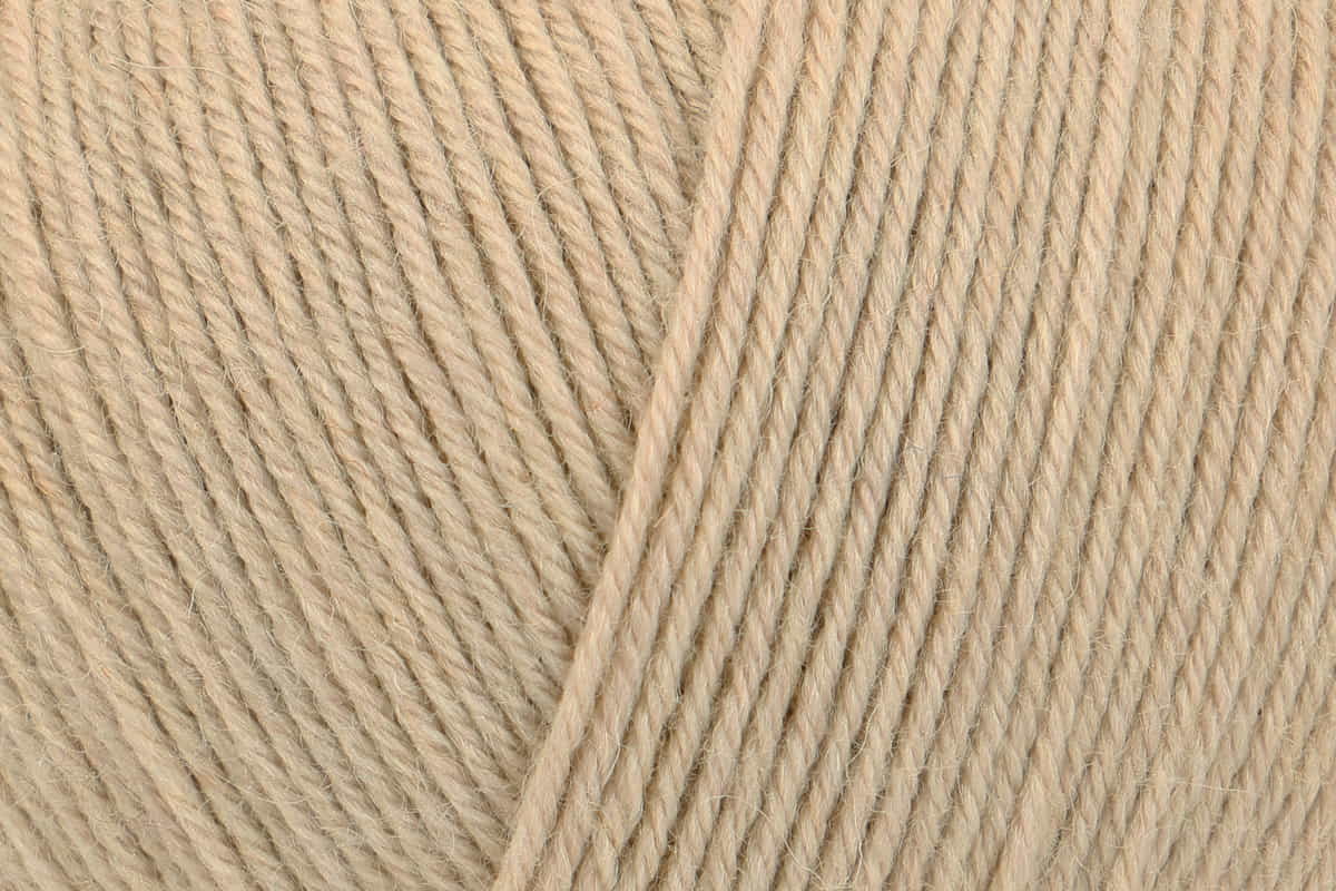 Regia Premium 4-diegu Silk 100g #00020 "Kamieļkrāsa"