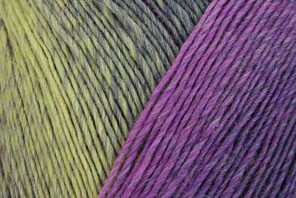 Regia Virtuoso Color 6-diegu 150g #3070 "Neaizmirstule"