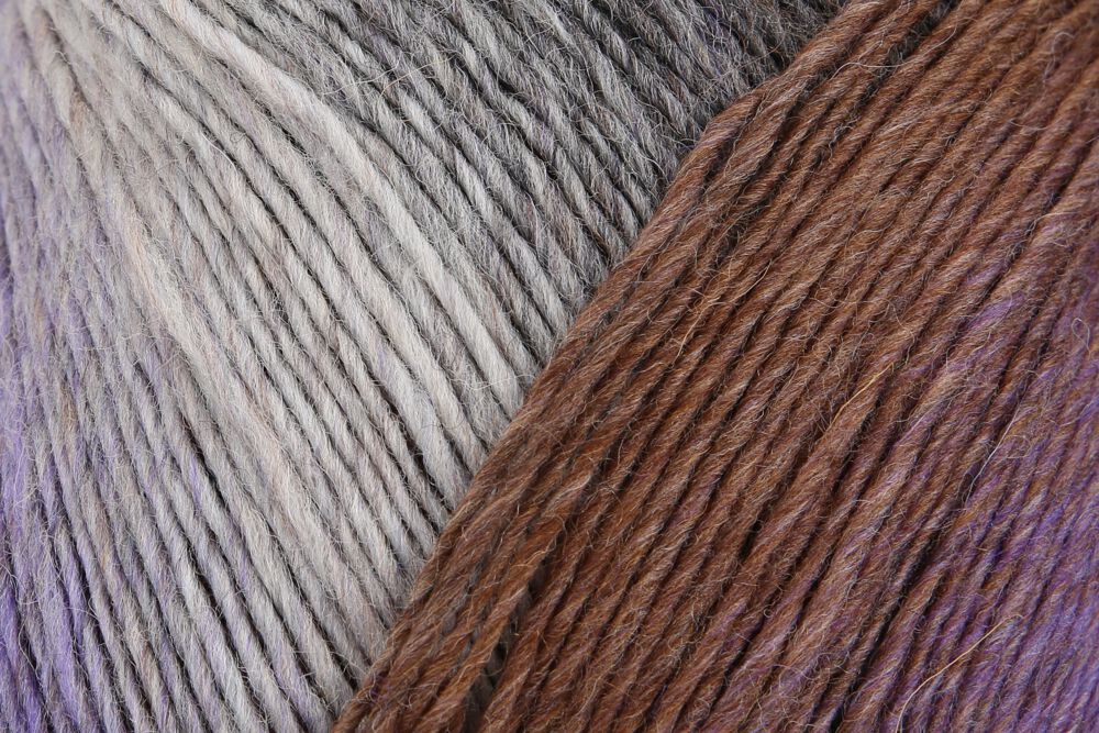 Regia Virtuoso Color 6-diegu 150g #3072 "Lavandu lauki"