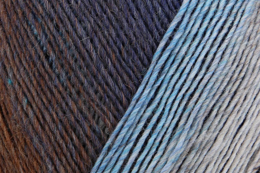 Regia Virtuoso Color 6-diegu 150g #3076 "Ziemeļu ainava"