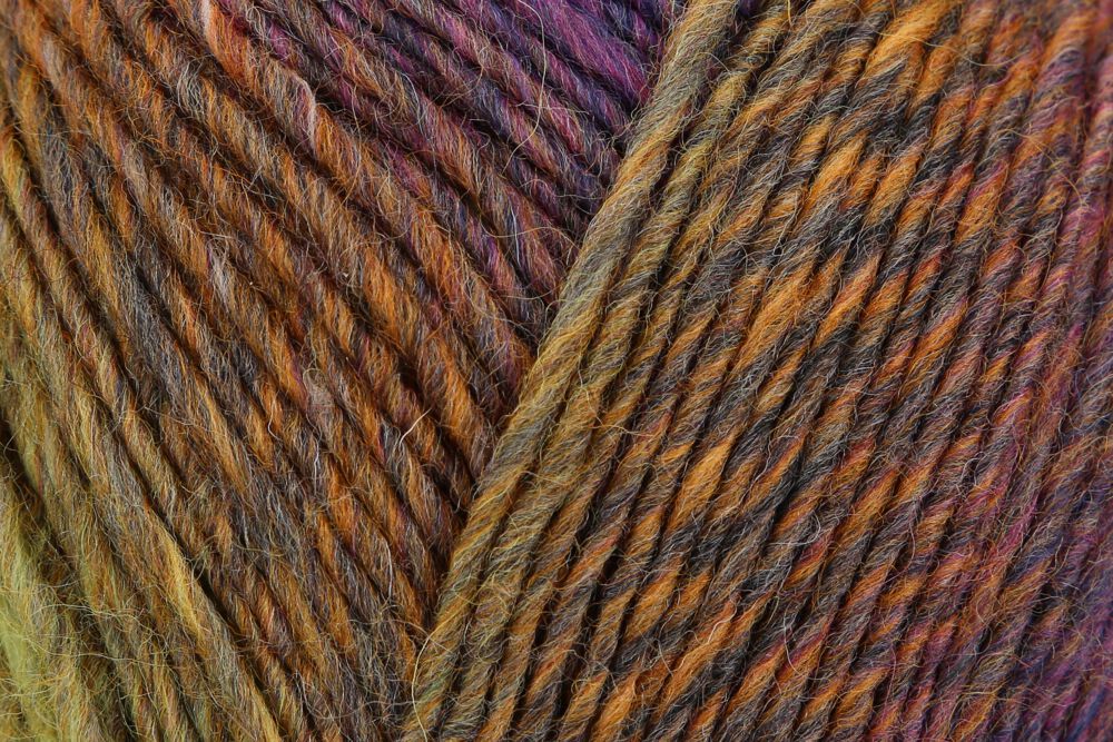 Regia Virtuoso Color 6-diegu 150g #3078 "Virši"