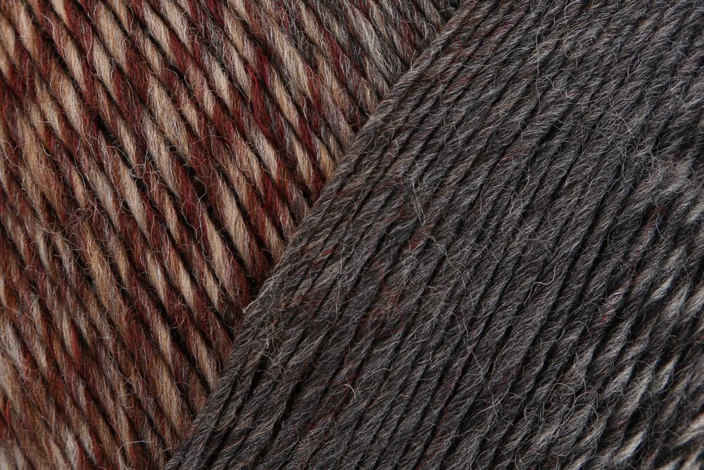 Regia Virtuoso Color 6-diegu 150g #3079 "Jaunā klasika"
