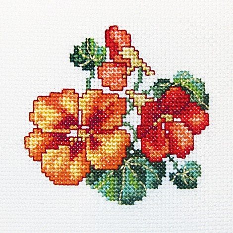 Nasturcija - izšūšanas komplekts /RTO/ 10 x 10 cm