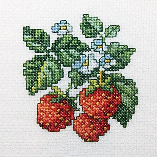 Meža zemenes - izšūšanas komplekts /RTO/ 10 x 10 cm