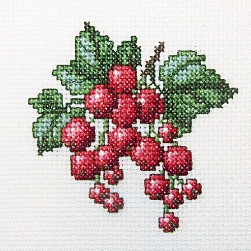 Currants - embroidery kit /RTO/ 10 x 10 cm