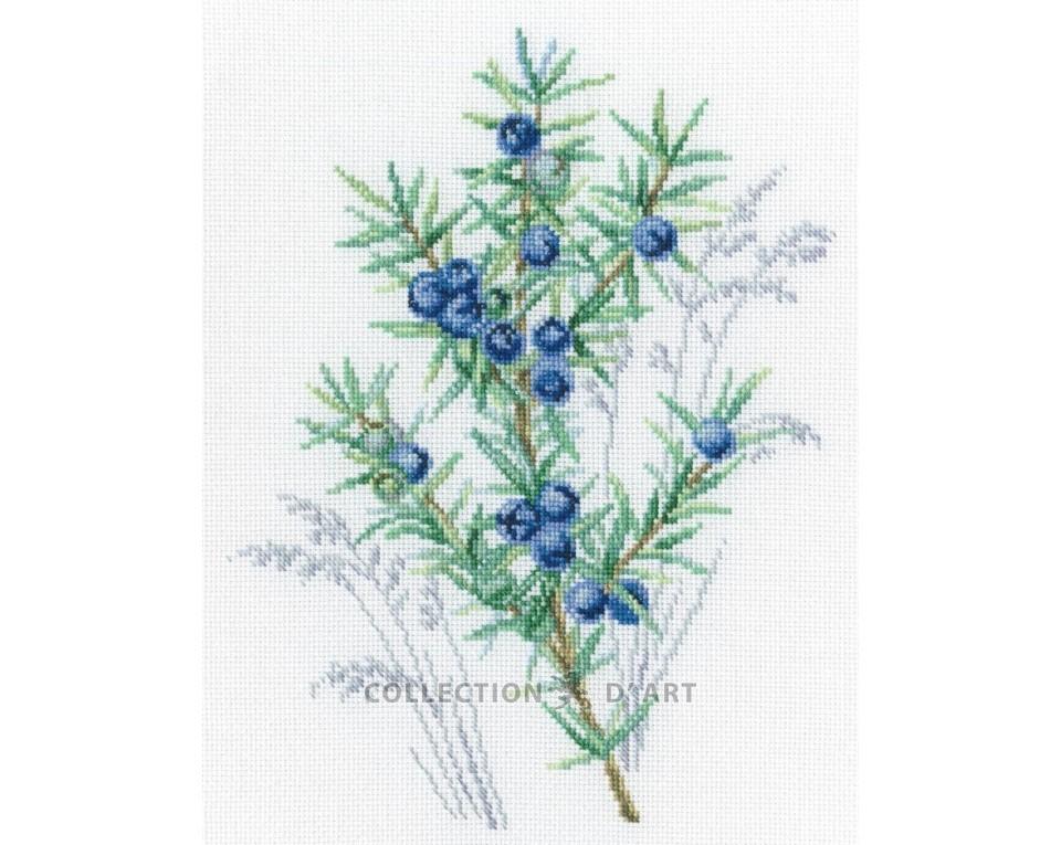 Juniper - embroidery kit /RTO/ 20 х 25.5 cm