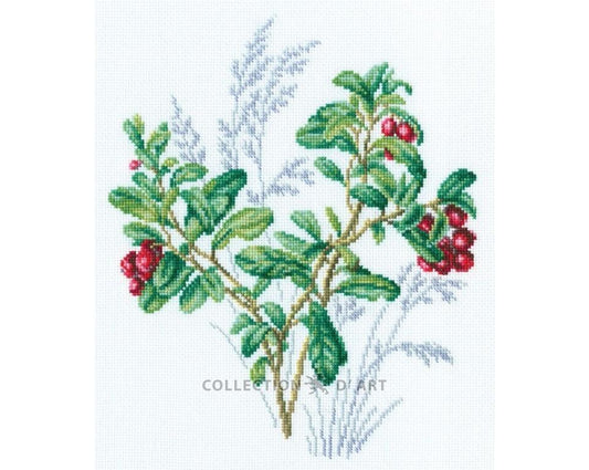 Brūklene - izšūšanas komplekts /RTO/ 20 х 24 cm