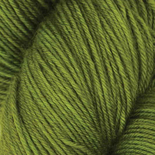 Symfonie Terra 4-ply 100g #SS2021 "Rainforest"