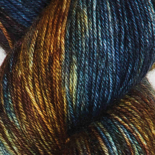 Symfonie Terra 4-ply 100g #VR2003 "Wild Land"