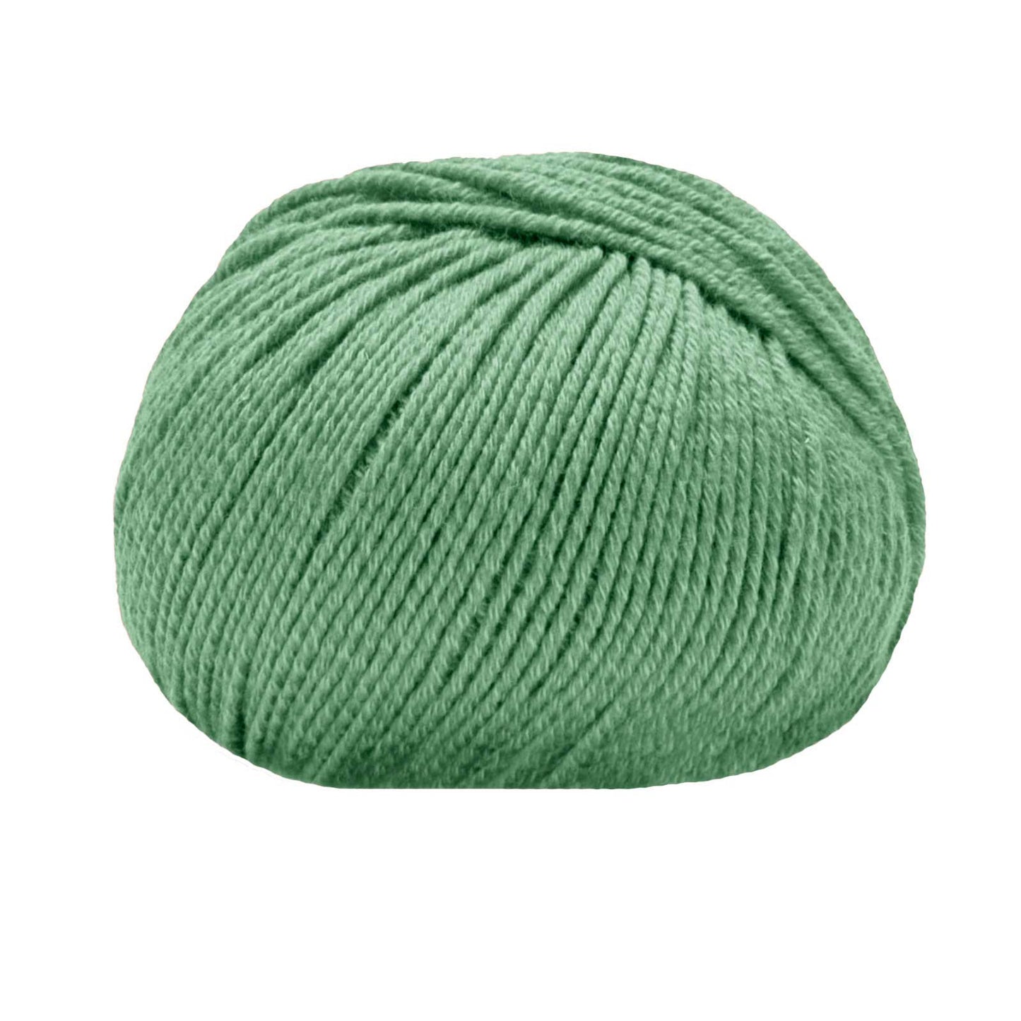 Merinocot /Lana Gatto/ 50g #14602 "Piparmündiroheline"
