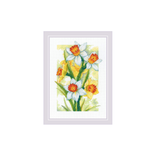 Spring Glow. Daffodils - cross stitch kit /RIOLIS/ 21 x 30 cm