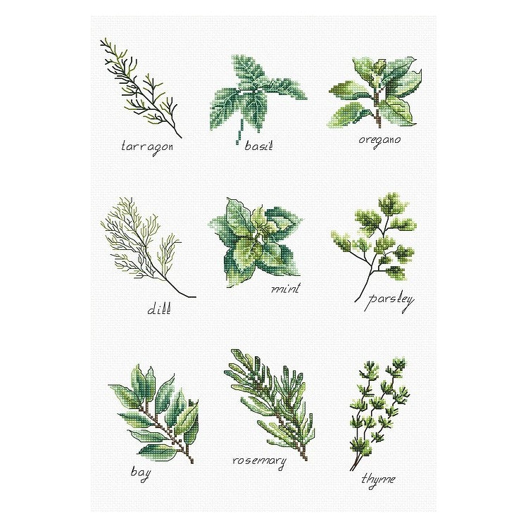 Spices - embroidery kit /Luca-S/ 21.5 x 30.5 cm