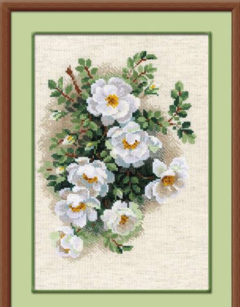 Baltās mežrozītes - izšūšanas komplekts /RIOLIS/ 21 x 30 cm