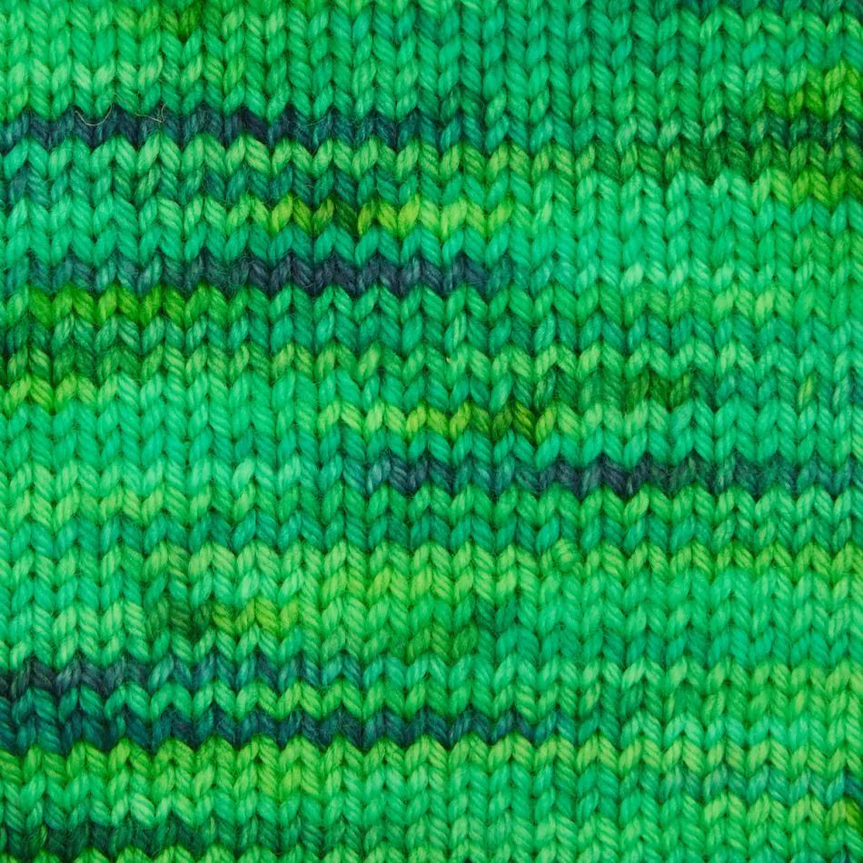 Symfonie Terra 4-keermeline 100g #VR2028 "Džungli saladused"