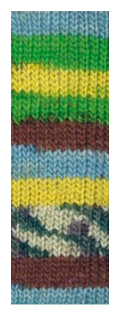 Sockenwolle Dublin /Happy Hobby/ 4-ply sock yarn 100g #02