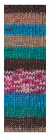 Sockenwolle Dublin /Happy Hobby/ 4-ply sock yarn 100g #06