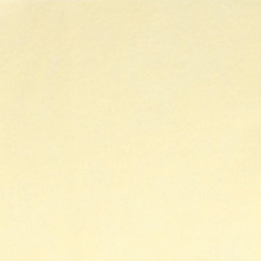 Filca loksne 2mm 20x30cm Queens Quality #041