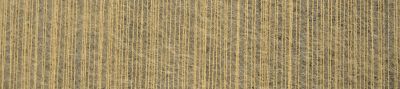 SilkyCat /Schoppel/ 25g  #0668 "Banāns"