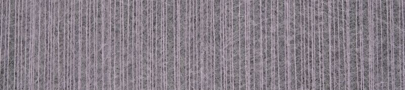 SilkyCat /Schoppel/ 25g #3446  "Zieds"