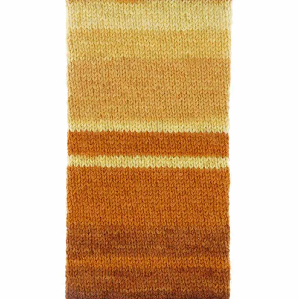 Arcadia /Scheepjes/ 4-diegu 100g #903 "Savanna"