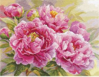 "Peonijas" - izšūšanas komplekts /Алиса/ 40 x 30 cm