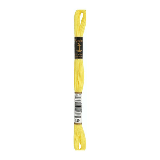 Embroidery thread Anchor Mouline, 100% cotton, 8m, #00289