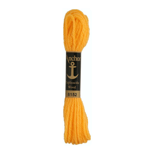 Izšūšanas diegs Anchor Tapestry wool, 100% vilna, 10m, #08152