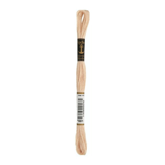 Embroidery thread Anchor Mouline, 100% cotton, 8m, #00881