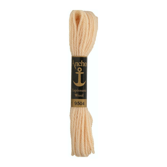 Izšūšanas diegs Anchor Tapestry wool, 100% vilna, 10m, #09504