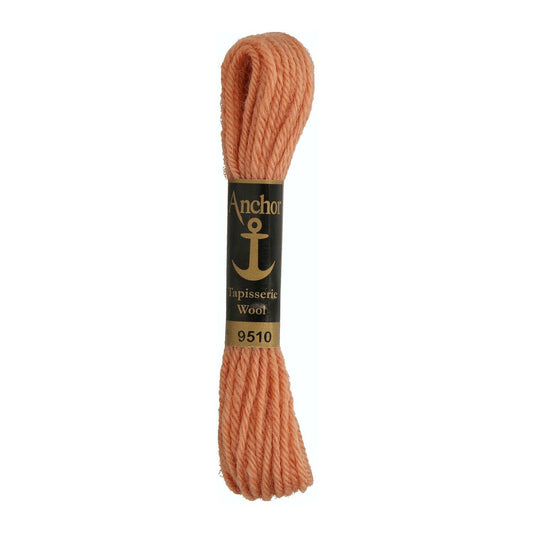 Izšūšanas diegs Anchor Tapestry wool, 100% vilna, 10m, #09510