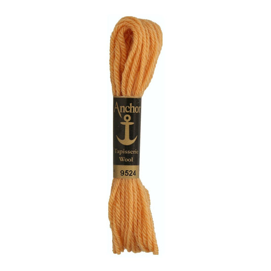 Izšūšanas diegs Anchor Tapestry wool, 100% vilna, 10m, #09524