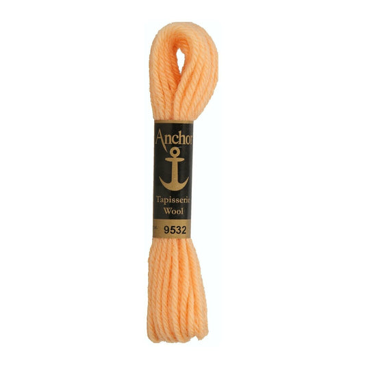 Izšūšanas diegs Anchor Tapestry wool, 100% vilna, 10m, #09532
