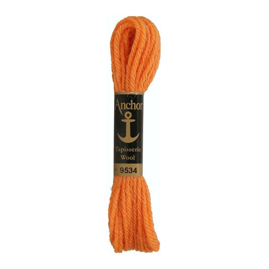 Izšūšanas diegs Anchor Tapestry wool, 100% vilna, 10m, #09534