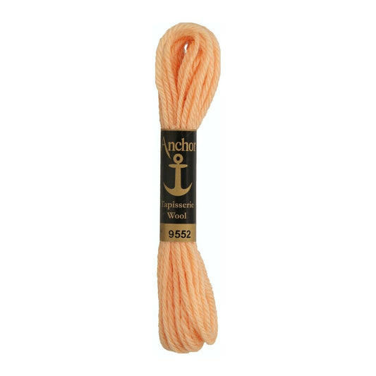 Izšūšanas diegs Anchor Tapestry wool, 100% vilna, 10m, #09552